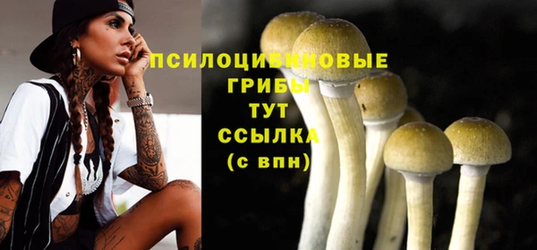 мдма Белокуриха